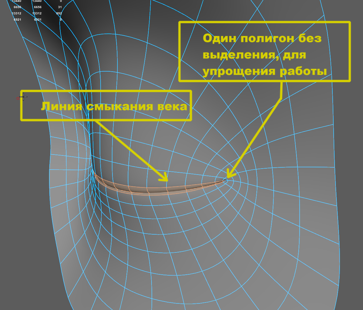 maya_B9vTMwBoJb.png