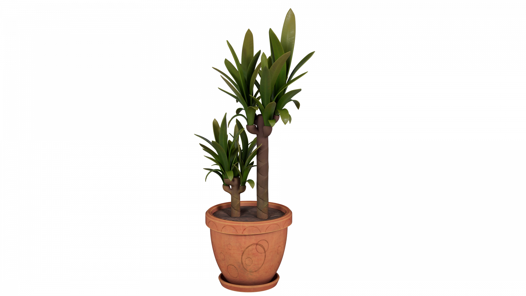 plants_groupBD.png